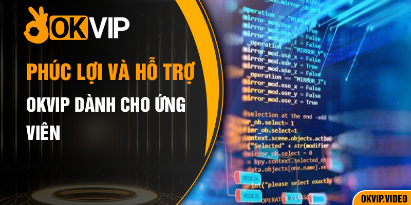 Phúc lợi và hỗ trợ từ OKVIP dành cho ứng viên