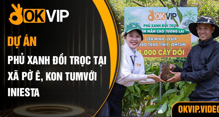 OKVIP với dự án Phủ xanh Đồi Trọc tại Xã Pờ Ê, Kon Tum